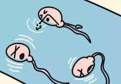 精子成活率低怎么治疗