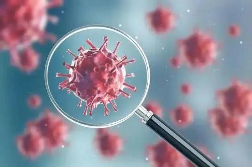 HPV病毒是什么?