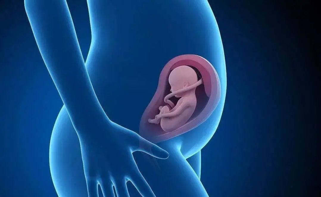 胎儿畸形主要与母体环境、不良药物、遗传、感染、外界不良环境等因素有关