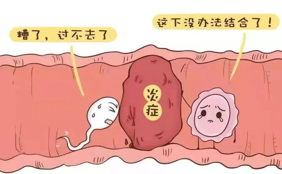 切除已经病变的输卵管，其实就是在保护胚胎在宫腔内的安全，提高胚胎移植成功率。