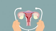 评估卵巢功能的重要指标都有什么